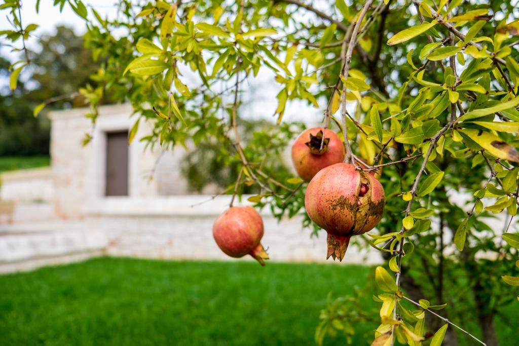Masseria Paretano Villa Alberobello Exterior photo